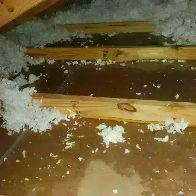 Attic Water Damage in Morris County, KS