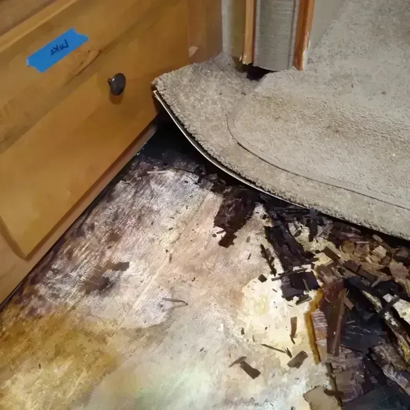 Wood Floor Water Damage in Morris County, KS